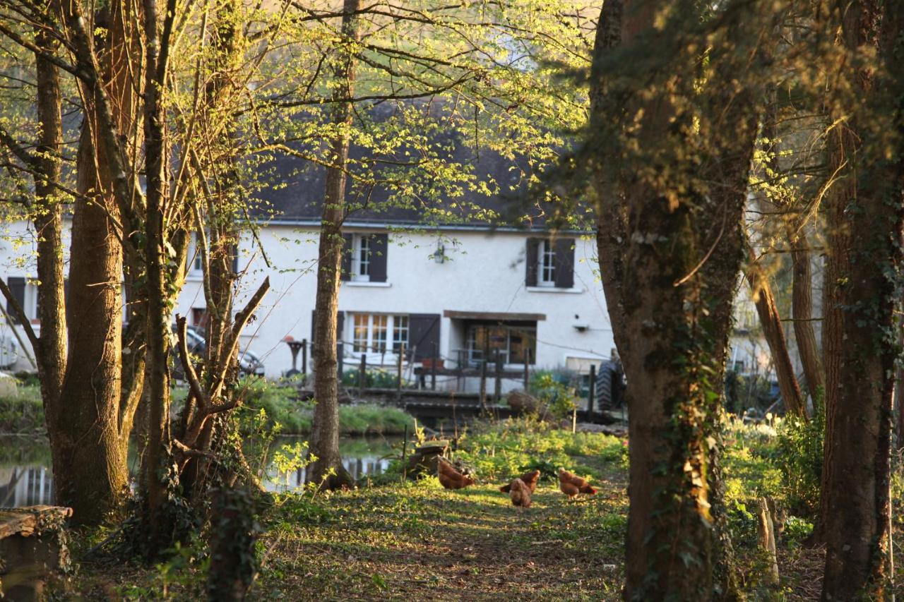 Fleurs De Brenne Gite Neuillé-le-Lierre Exteriör bild