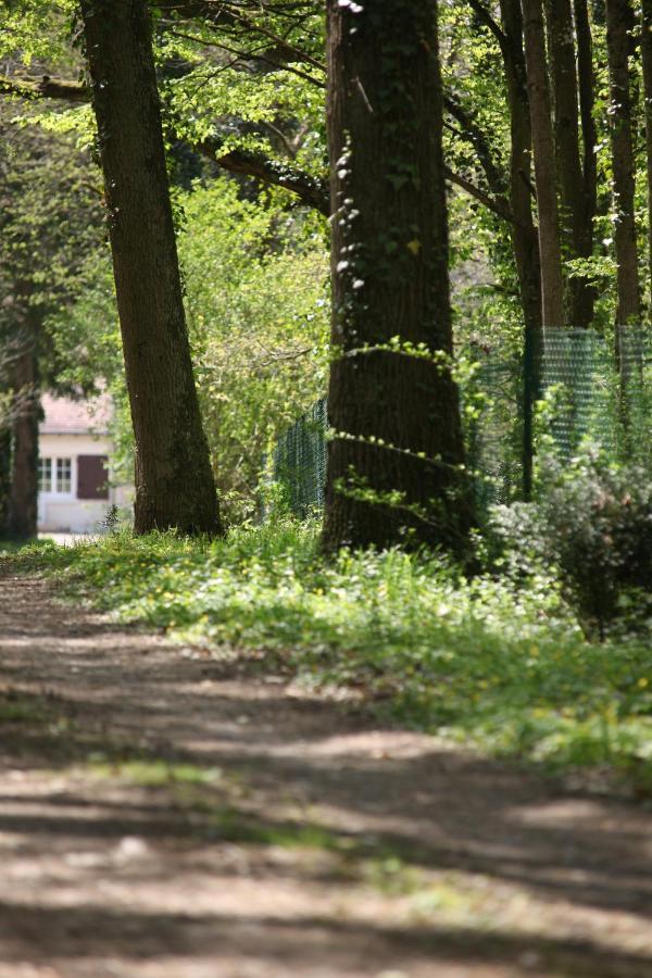 Fleurs De Brenne Gite Neuillé-le-Lierre Exteriör bild