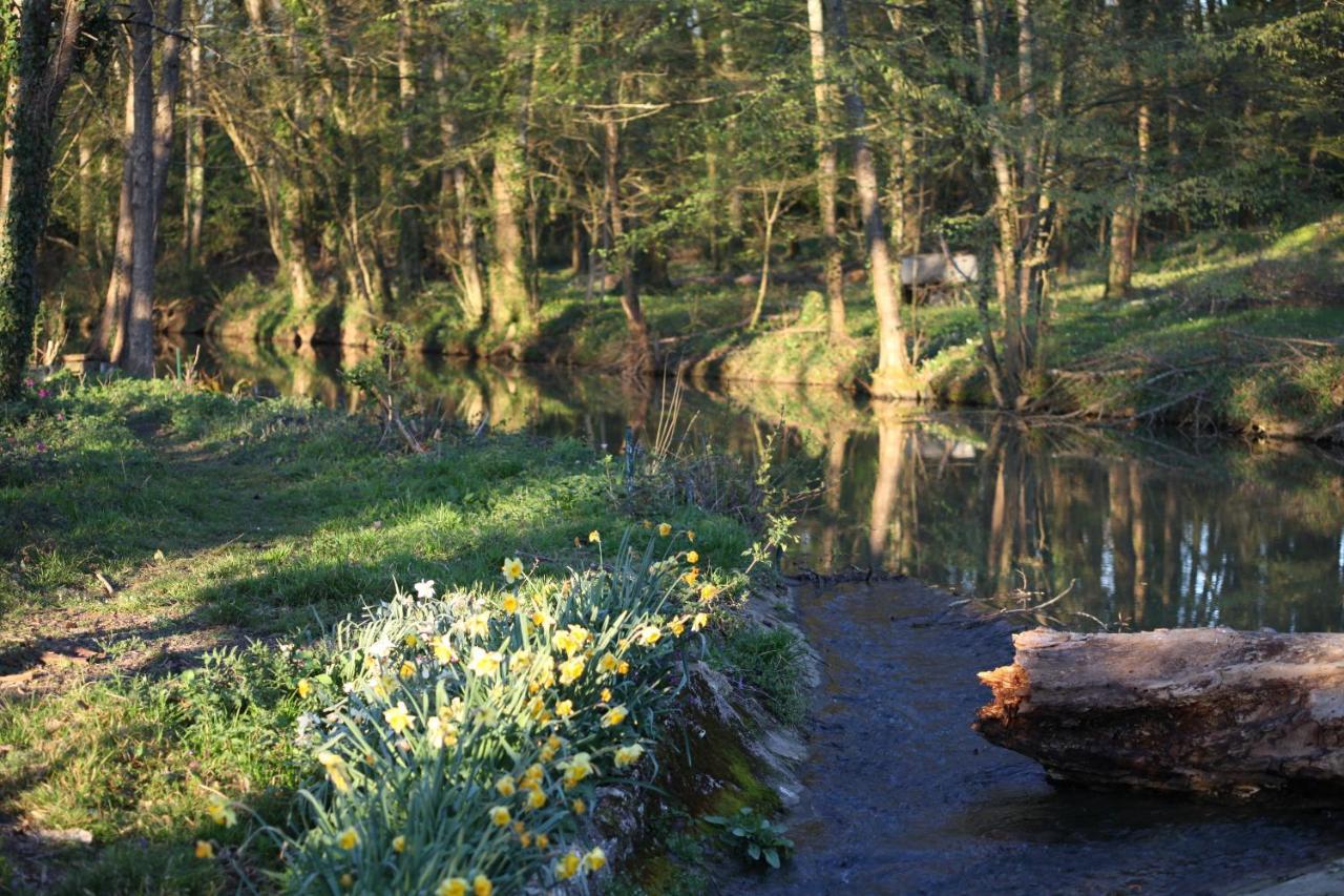 Fleurs De Brenne Gite Neuillé-le-Lierre Exteriör bild