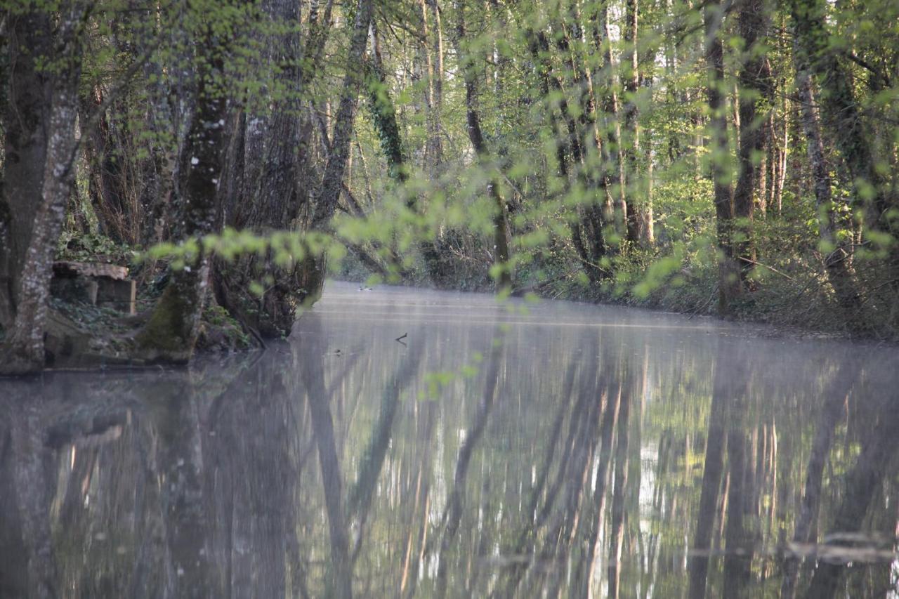 Fleurs De Brenne Gite Neuillé-le-Lierre Exteriör bild