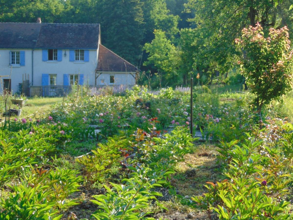 Fleurs De Brenne Gite Neuillé-le-Lierre Exteriör bild